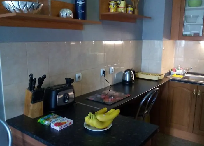 Apartament Alexander Business *