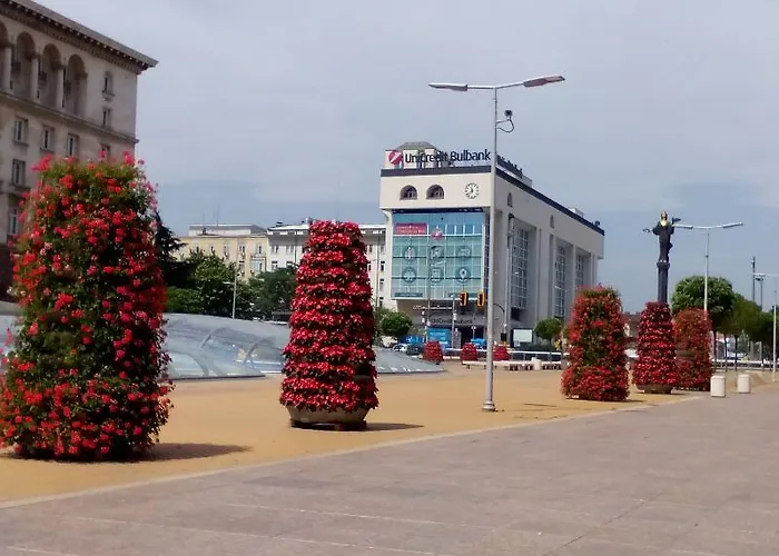 Apartament Alexander Business