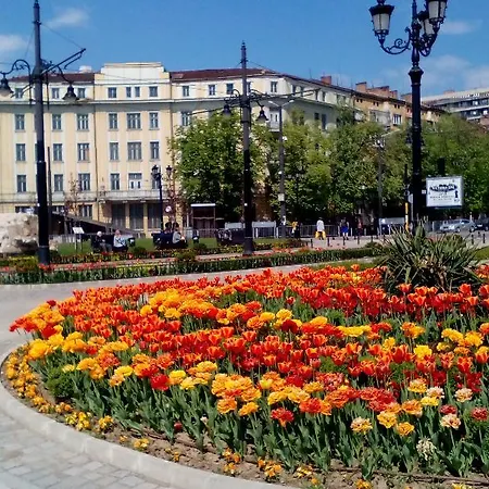 Alexander Business *