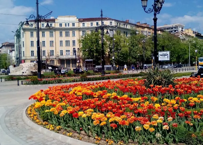 Alexander Business *