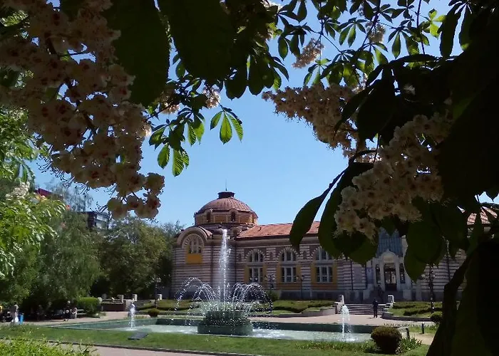 Alexander Business Apartment *