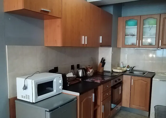 Alexander Business ソフィア