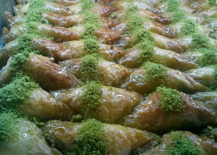 アパート Alexander Business