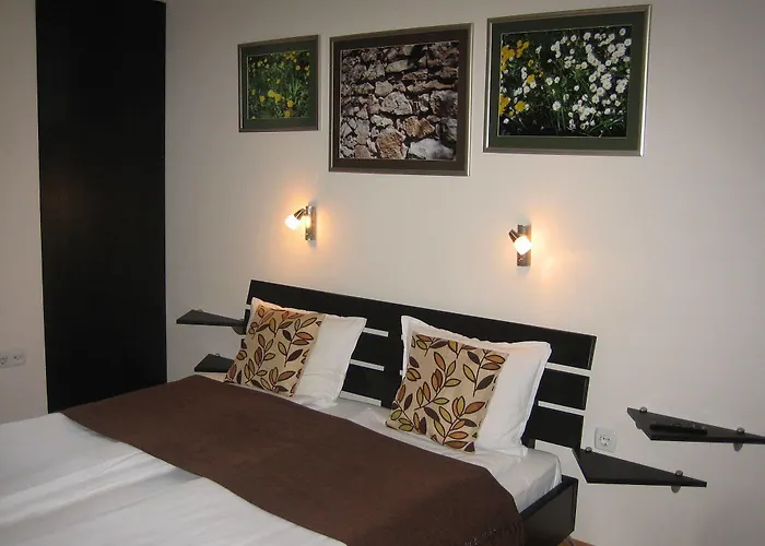 Alexander Business *