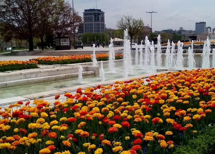 Alexander Business ソフィア